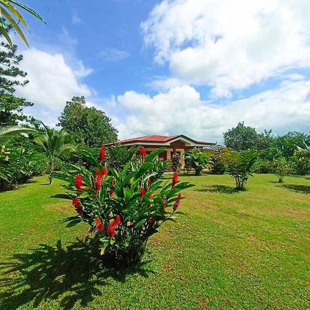 Villa Ceiba La Fortuna المظهر الخارجي الصورة
