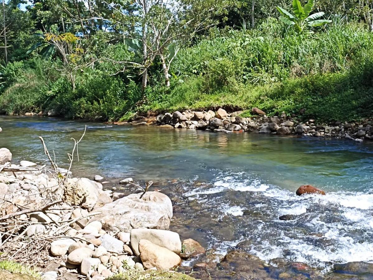 Villa Ceiba La Fortuna المظهر الخارجي الصورة