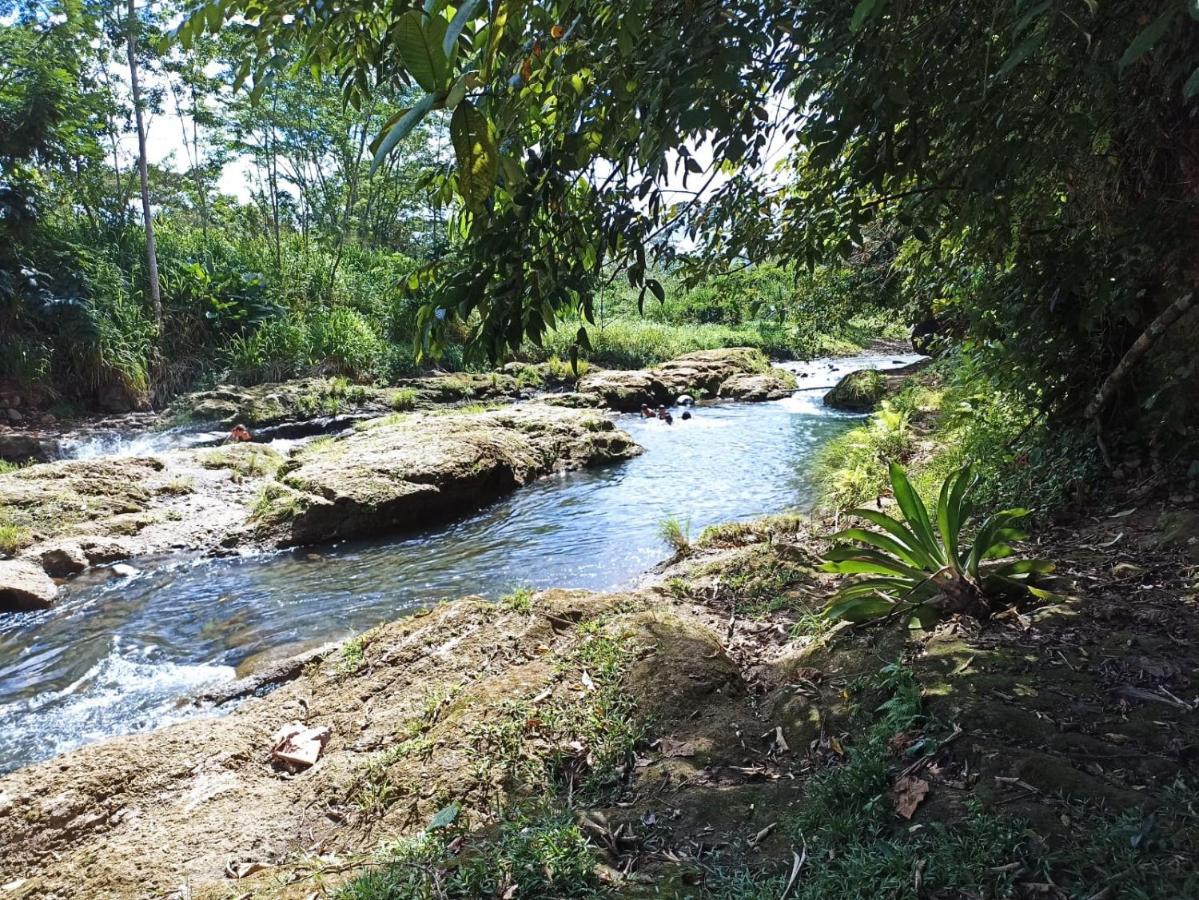 Villa Ceiba La Fortuna المظهر الخارجي الصورة