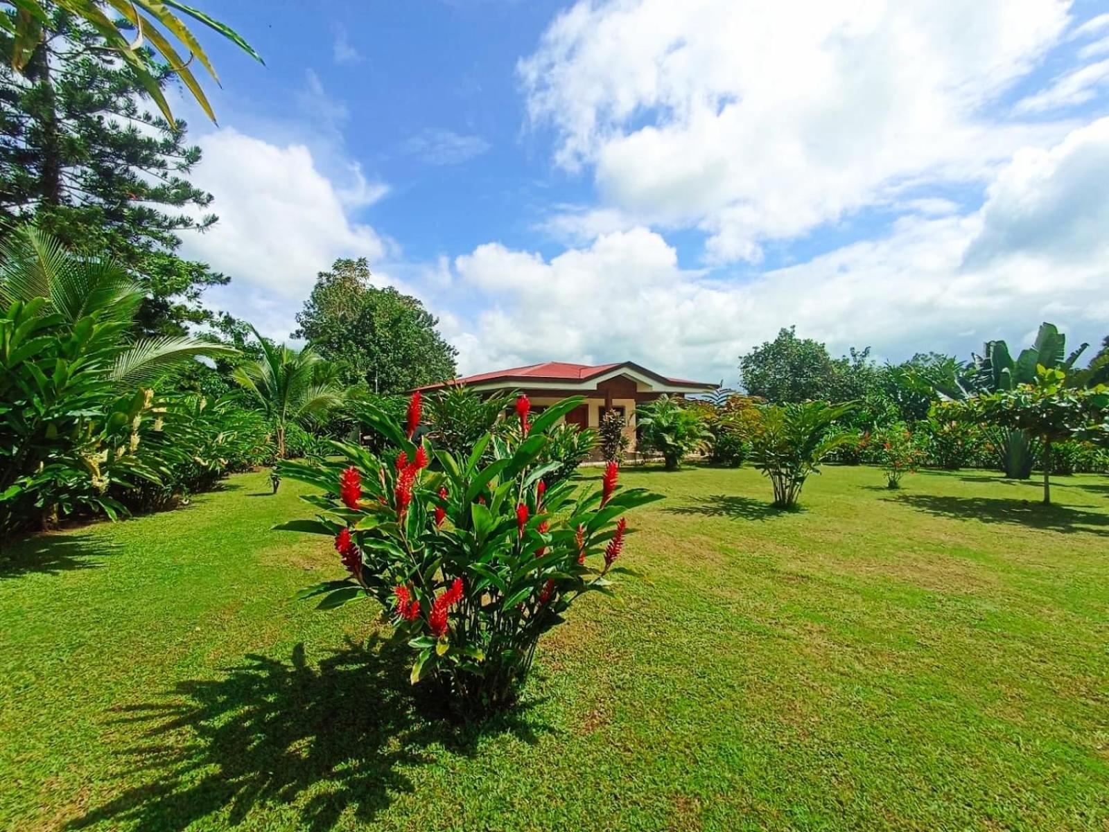 Villa Ceiba La Fortuna المظهر الخارجي الصورة