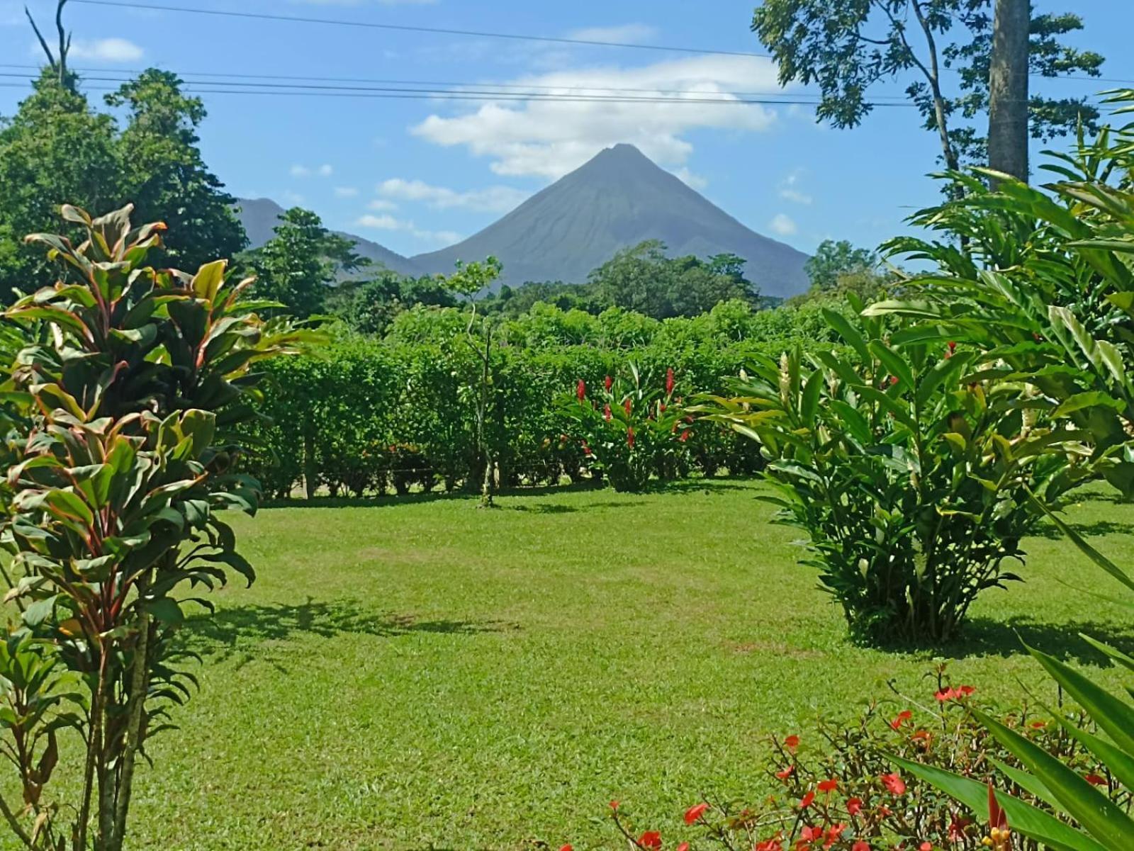 Villa Ceiba La Fortuna المظهر الخارجي الصورة